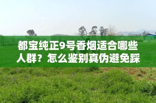 都宝纯正9号香烟适合哪些人群？怎么鉴别真伪避免踩坑？